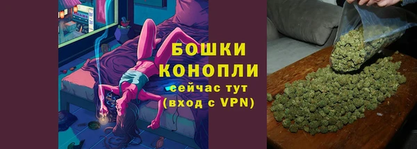стафф Богородицк