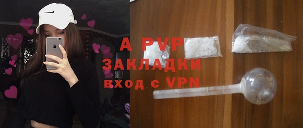 стафф Богородицк