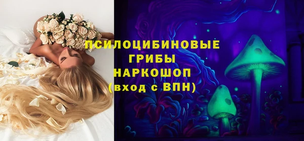 крисы Богданович